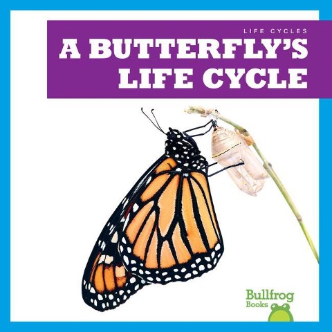 A Butterflys Life Cycle