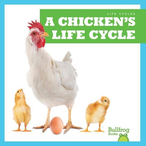 A Chickens Life Cycle