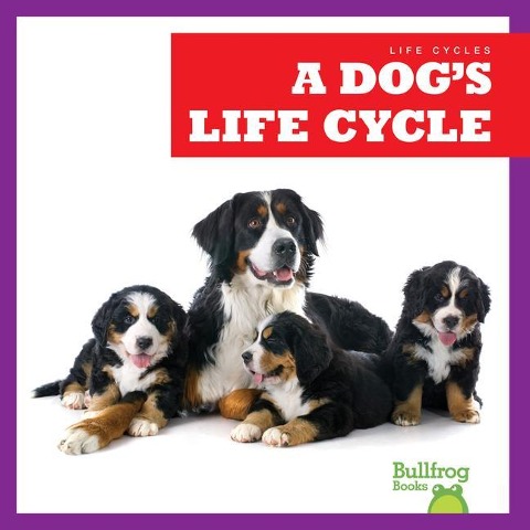 A Dogs Life Cycle