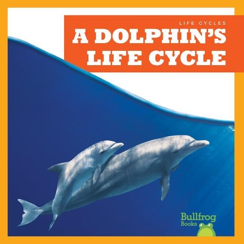 A Dolphins Life Cycle
