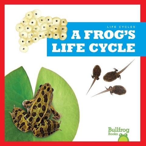 A Frogs Life Cycle