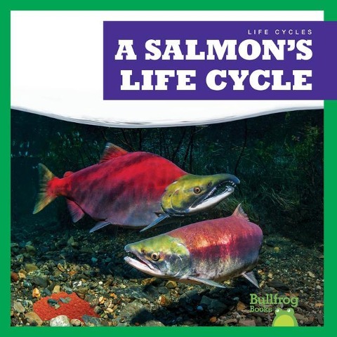 A Salmons Life Cycle