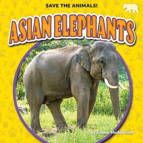 Asian Elephants