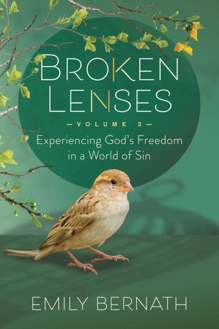 Broken Lenses Volume 3: Experiencing Gods Freedom in a World of Sin