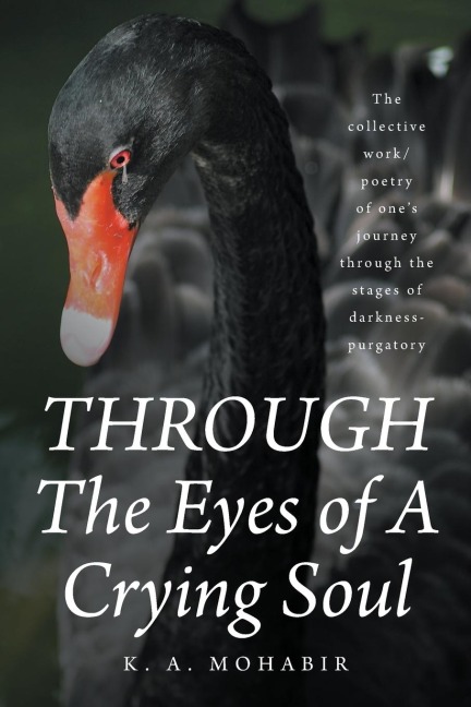 THROUGH The Eyes of A Crying Soul: The collective work-poetry of one's journey through the stages of darkness-purgatory