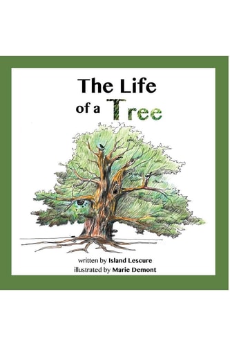 The Life of a Tree