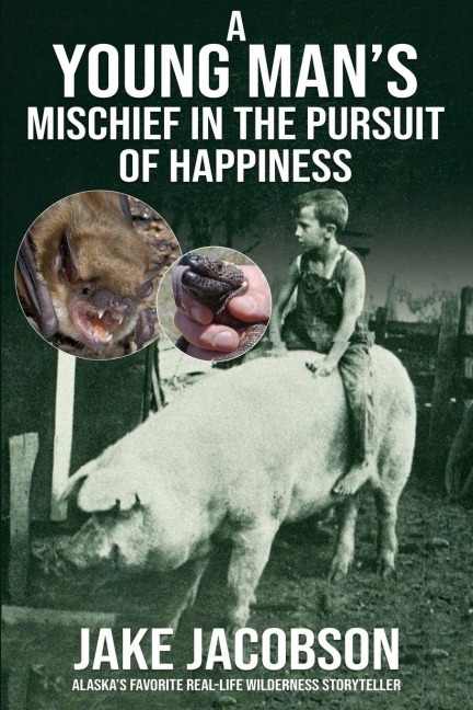 A Young Mans Mischief in the Pursuit of Happiness