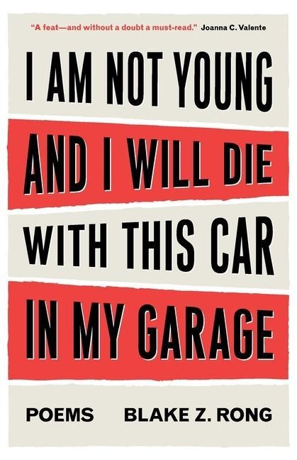 I Am Not Young And I Will Die With This Car In My Garage