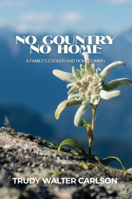 No Country No Home: A Familys Exodus and Homecoming