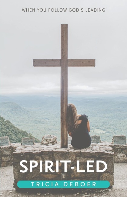 Spirit-Led: When You Follow Gods Leading