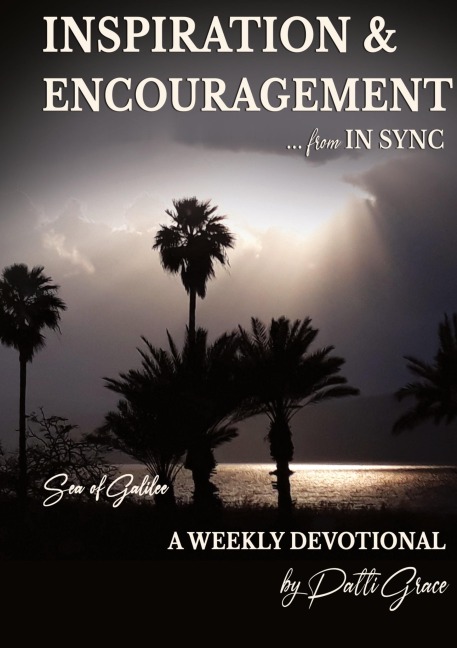 INSPIRATION & ENCOURAGEMENT from IN SYNC: Sea of Galilee - A Weekly Devotional