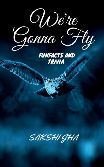 Were Gonna Fly