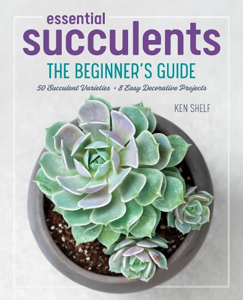 Essential Succulents: The Beginners Guide