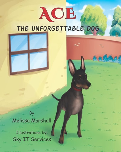 Ace the Unforgettable Dog
