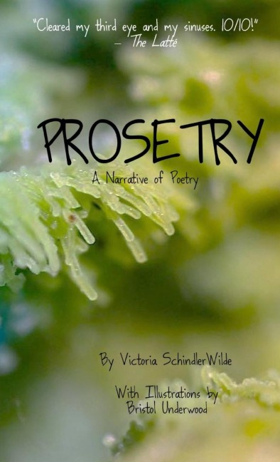 Prosetry: A Narrative of Poetry