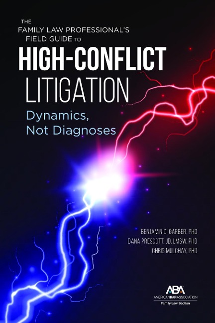The Family Law Professional's Field Guide to High-Conflict Litigation: Dynamics, Not Diagnoses