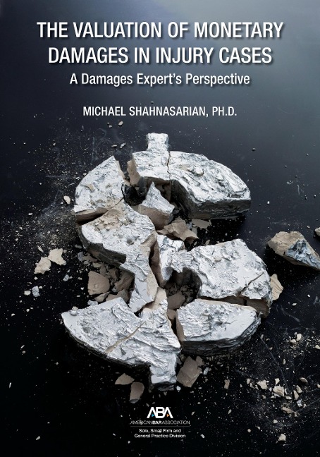 The Valuation of Monetary Damages in Injury Cases: A Damages Expert's Perspective