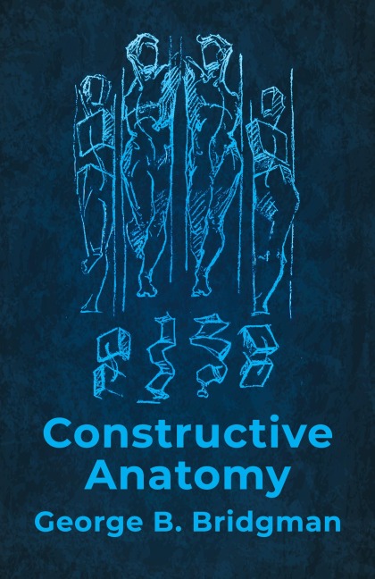 Constructive Anatomy: Includes Nearly 500 Illustrations