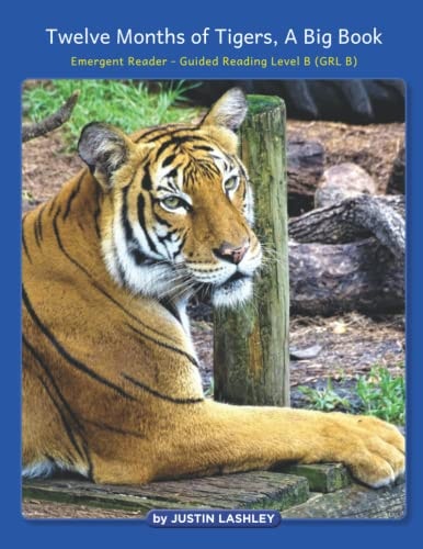 Twelve Months of Tigers, A Big Book Emergent Reader - Guided Reading Level B (GRL B)