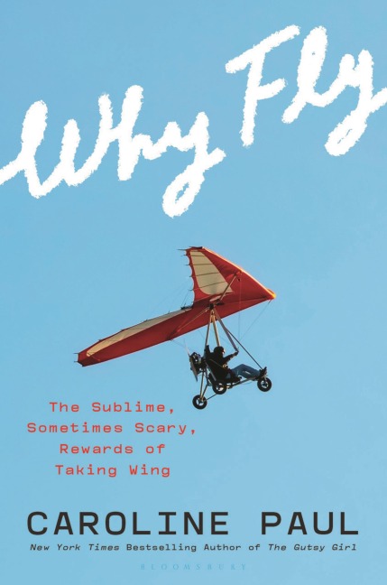 Why Fly: Seeking Awe, Healing, and Our True Selves in the Sky