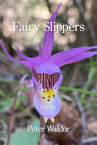 Fairy Slippers