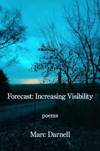 Forecast Increasing Visibility