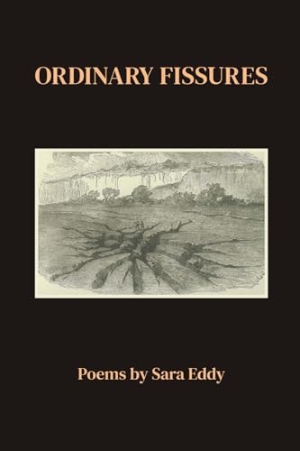 Ordinary Fissures