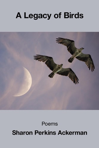 A Legacy of Birds