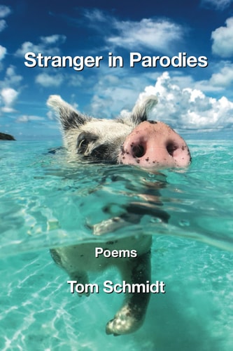 Stranger in Parodies