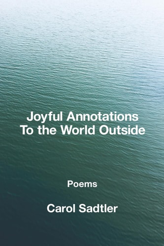 Joyful Annotations to the World Outside