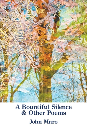 A Bountiful Silence & Other Poems