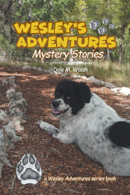 Wesleys Adventures: Mystery Stories