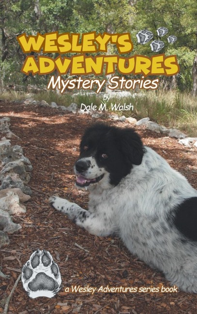 Wesleys Adventures: Mystery Stories