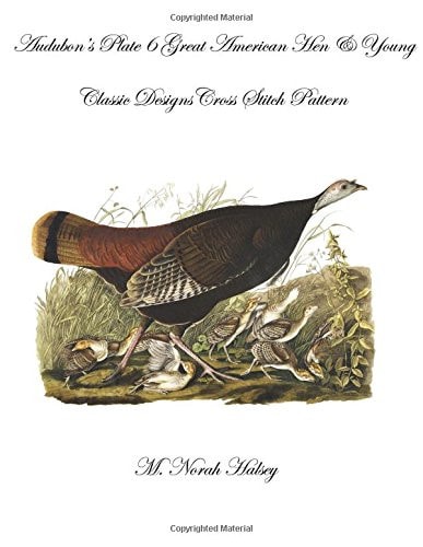 Audubon's Plate 6 Great American Hen & Young Classic Designs Cross Stitch Pattern