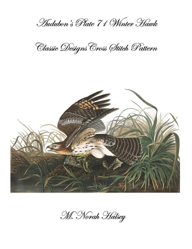 Audubon's Plate 71 Winter Hawk Classic Designs Cross Stitch Pattern