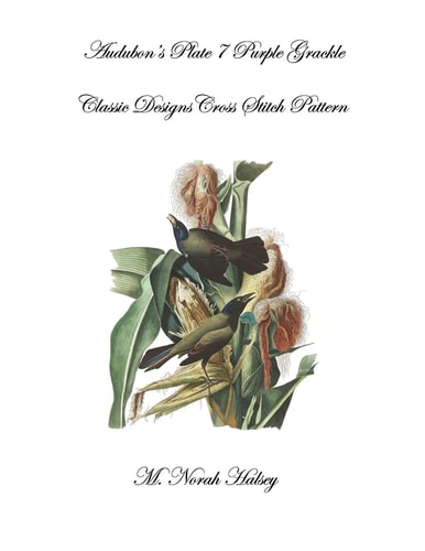 Audubon's Plate 7 Purple Grackle Classic Designs Cross Stitch Pattern