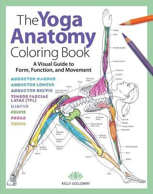 Yoga Anatomy Coloring Book, The: A Visual Guide to Form, Function, and Movement - An Educational Anatomy Coloring Book for Medical Students, Yoga Teachers, & Adults (Volume 1)