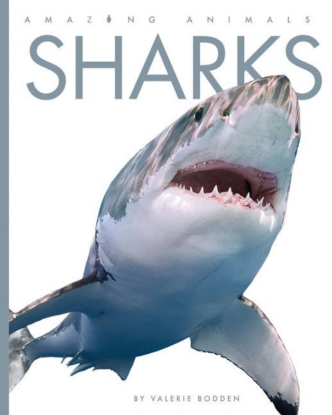 Sharks