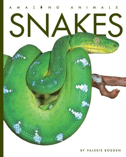 Snakes