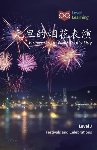 元旦的烟花表演 Fireworks on New Year's Day