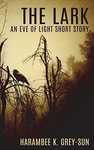 The Lark An Eve of Light Short Story