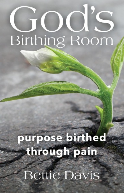 Gods Birthing Room: Purpose Birthed Through Pain