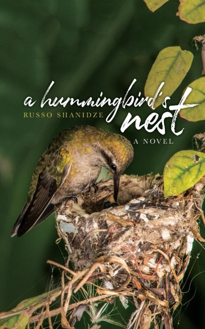 A Hummingbirds Nest