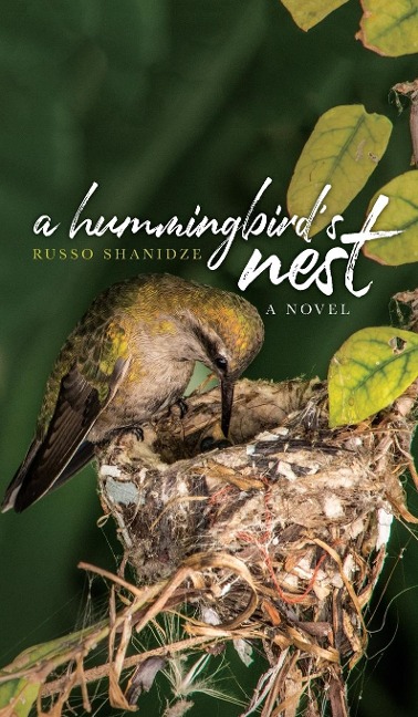 A Hummingbirds Nest