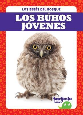 Los Búhos Jóvenes (Owlets)