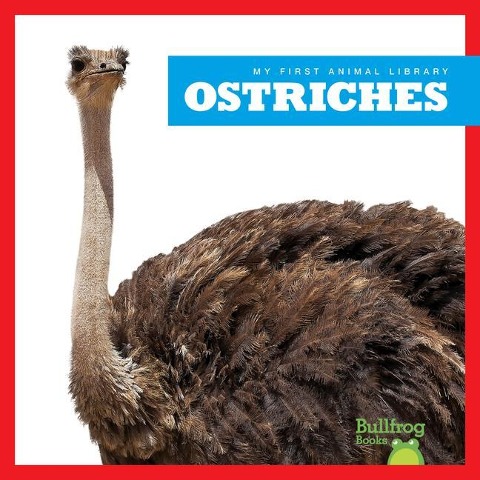Ostriches