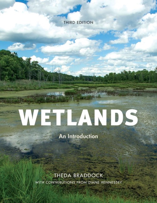 Wetlands: An Introduction