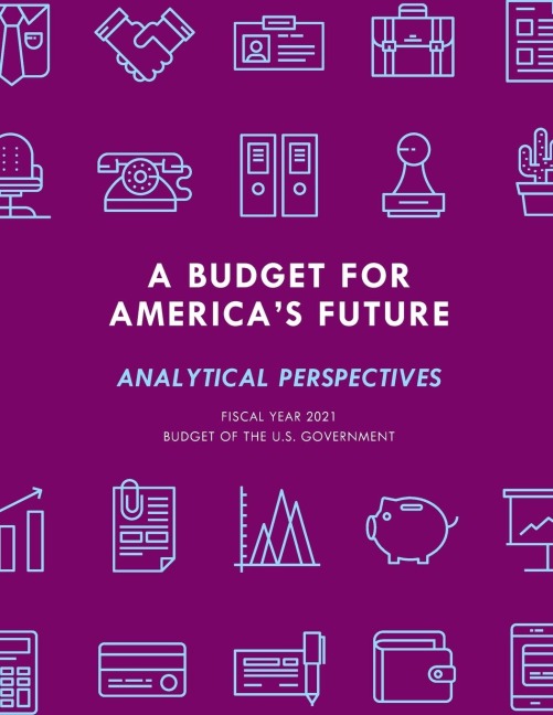 Budget for Americas Future: Analytical Perspectives, Budget of the U.S. Government, Fiscal Year 2021