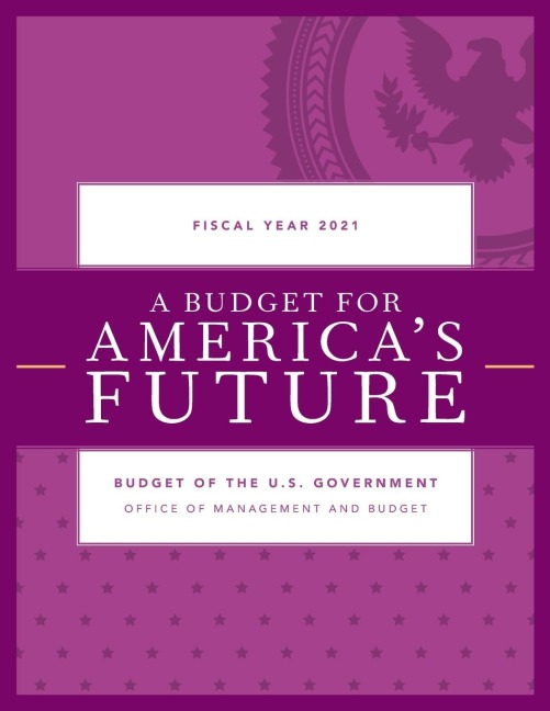 Budget for Americas Future: Budget of the U.S. Government, Fiscal Year 2021