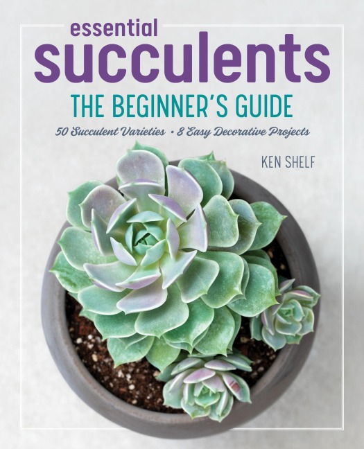 Essential Succulents: The Beginners Guide